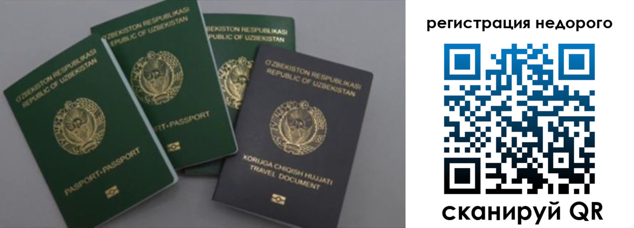 пропишу в квартире в Михайловке